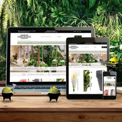Estrategia Digital Todaslasplantas - Publicidad Online