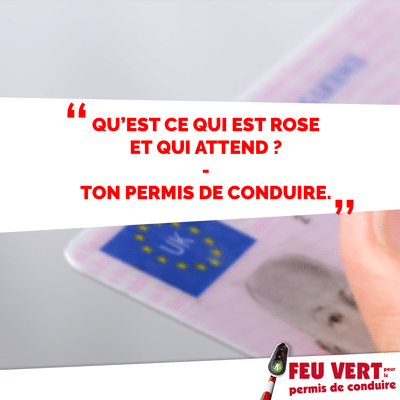 VAN IN - FB Strategy & Social Media Management - Réseaux sociaux