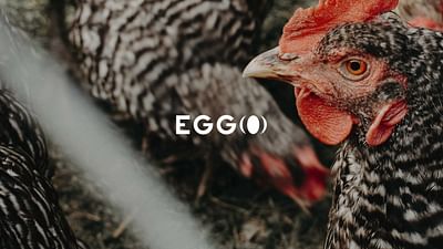 EGGO - Image de marque & branding