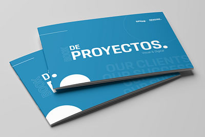 Brochure de Proyectos Digitales | Imagine - Diseño Gráfico