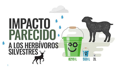 Infografico "Cuando pastar es sostenible" - Produzione Video