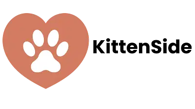 Kittenside – Logo Design - Grafische Identität
