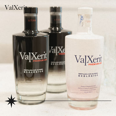 Valxerit Premium Gin - Branding y posicionamiento de marca