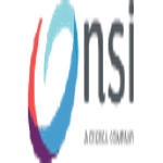 NSI IT Software & Services