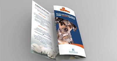 Paw Paw Pet Insurance Brochure Design - Design & graphisme