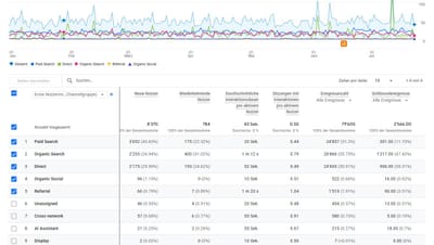 Digital-Marketing-Mix für traditionsreiches Optikergeschäft - Online Advertising