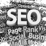SEO Web Studio logo