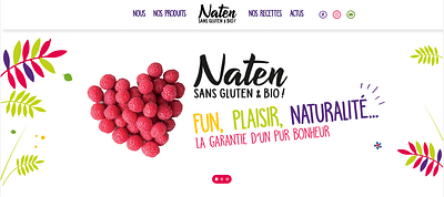Site Wordpress - NATEN - Référencement naturel