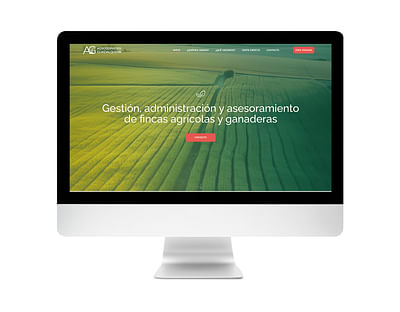 Web + Branding + SEM: Servicios agrícolas - Website Creatie