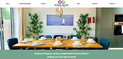 Diverse Nation Accessible Website - SEO