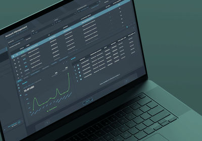 CSP Portal - Software Development