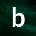 Basilic Design