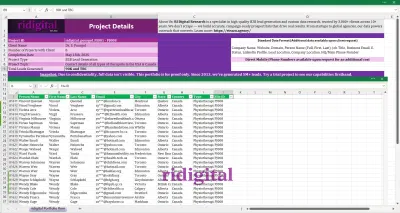90K Therapists and Wellness Professionals Data - Stratégie digitale