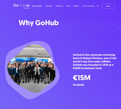 GoHub Web - Webseitengestaltung