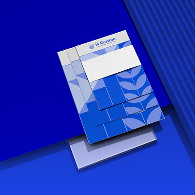 Création de marque - Monsieur Gestion - Stampa