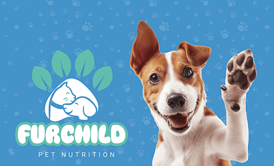 Furchild  Branding and Social Media Direction - Marketing