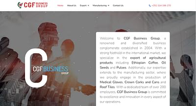 cgfbusinessgroup.com website development - Création de site internet