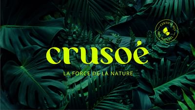 Crusoé - Production Vidéo