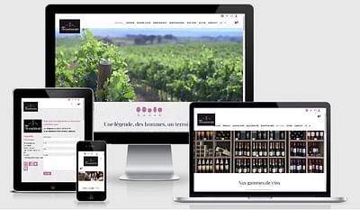 SITE E-COMMERCE - Ergonomie (UX/UI)