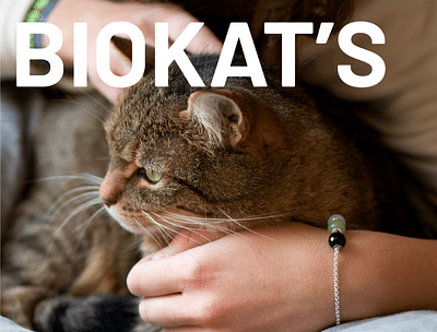 Social Media Biokat's - Onlinewerbung