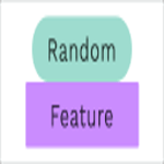 Random Feature