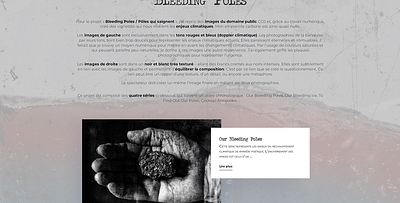 Site Ludovic Pannatier - Creación de Sitios Web