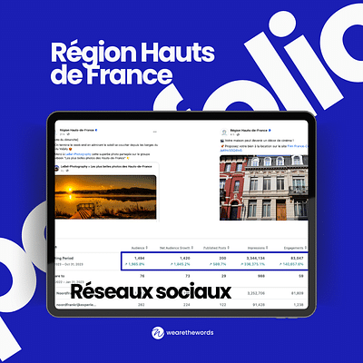 Animation Facebook & Instagram Belgique, Pays-Bas - Réseaux sociaux