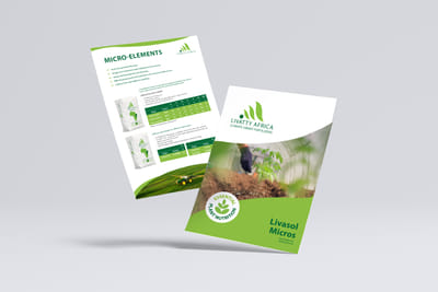 Flyer ontwerp voor Livatty - Grafische Identiteit