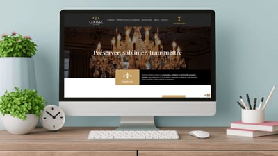 Accompagnement marketing et Création du site web - Lustrerie Goosse - Growth Marketing