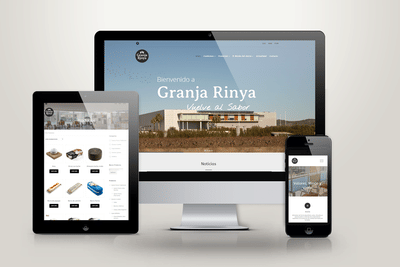 Diseño web y catalogo online - Creación de Sitios Web