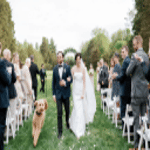Wildflower Events + Design