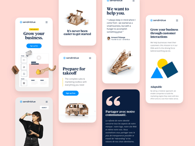 Sendinblue - Digital Strategy