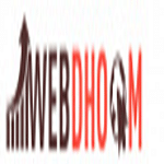 Webdhoom logo