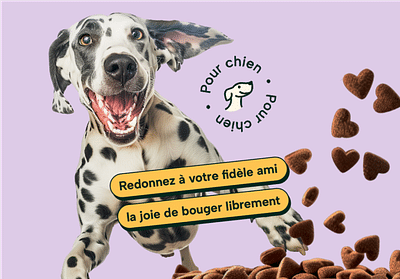 🐾 Vitamii | Création de marque | Alimentation - Rédaction et traduction