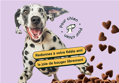 🐾 Vitamii | Création de marque | Alimentation - Image de marque & branding