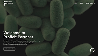 Proficit Partners — Logo, web design, development - Artificial Intelligence