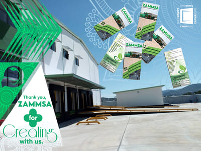 Trifold Brochure (Design & Print) - Print
