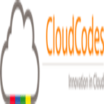 CloudCodes Software Private Limited