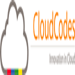 CloudCodes Software Private Limited