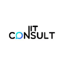 Nit Consult logo