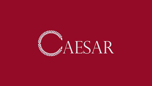 Caesar agency cover