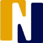 NERVE logo