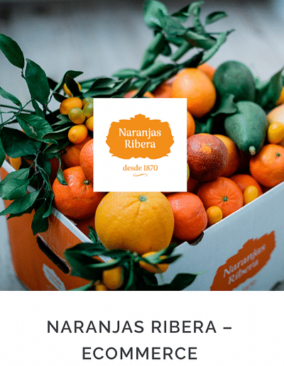 E-commerce Naranjas Ribera - Grafikdesign