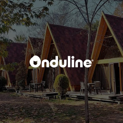STRATÉGIE DIGITALE : Onduline France - Social Media