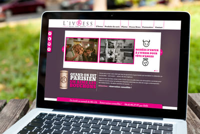 Communication digitale : L'IVRESS - Création de site internet