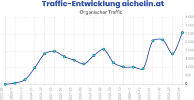3000 % mehr Traffic nach 18 Monaten. - SEO