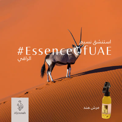 Al Jounah Perfumes Social Media Campaigns - Image de marque & branding