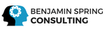BS Consulting logo