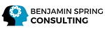 BS Consulting