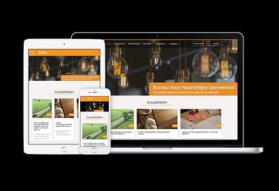 Website Bureau Voor Nederlandse Gemeenten - Website Creatie